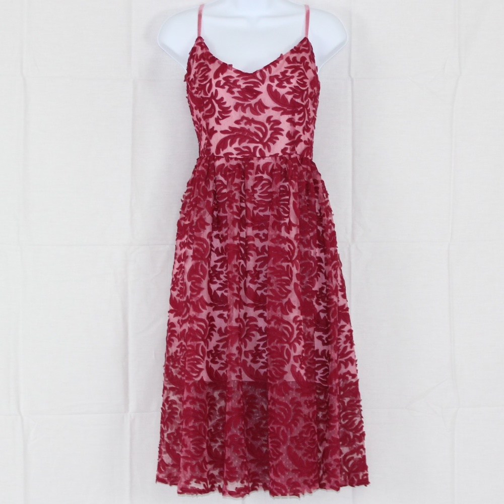 BB Dakota Swiss Dot and Chiffon Lace Dress